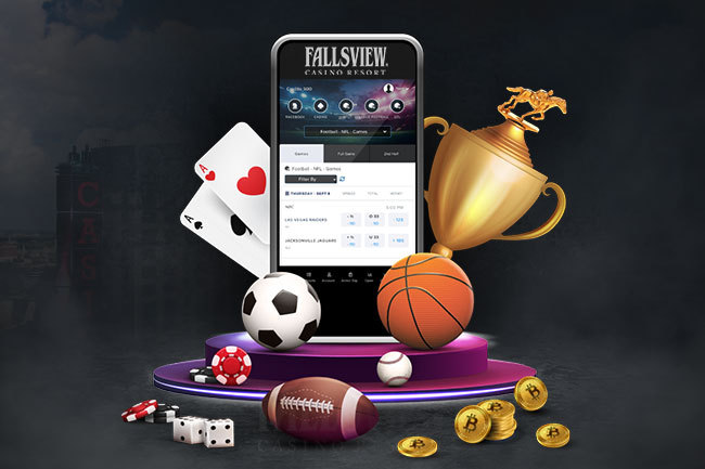 Ultimate Guide to Moyo Bet Your Gateway to Online Gaming