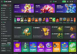 Complete Guide on Verification Casino Bc App