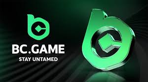 Complete Guide on Verification Casino Bc App