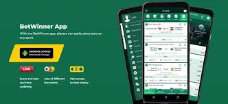 Discover the Thrills of BetWinner Casino